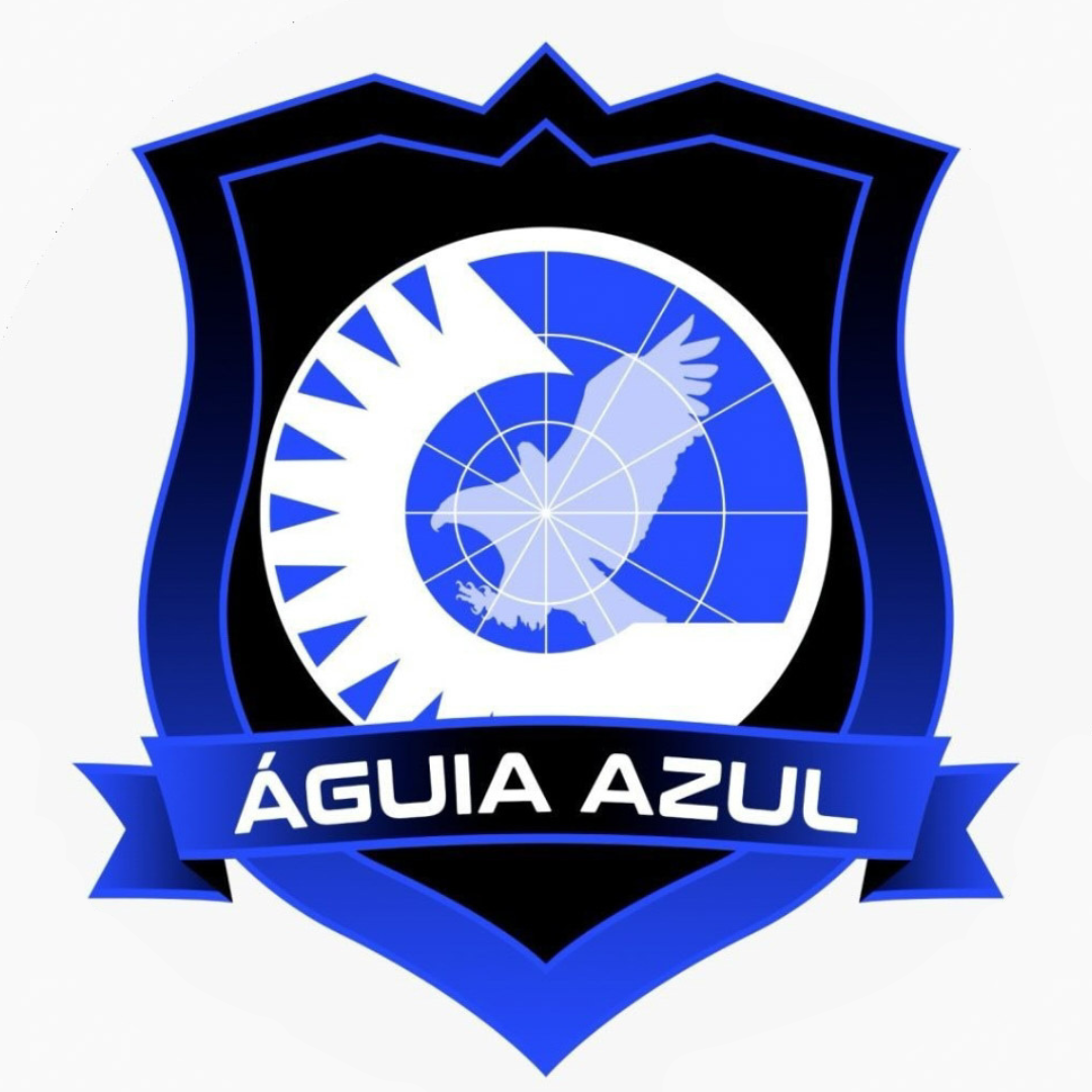 Sistemas de segurança